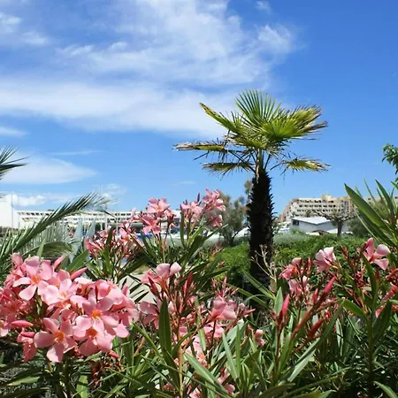 Residence Naturiste Port Soleil - Studio Pour 2 Personnes 104 Agde